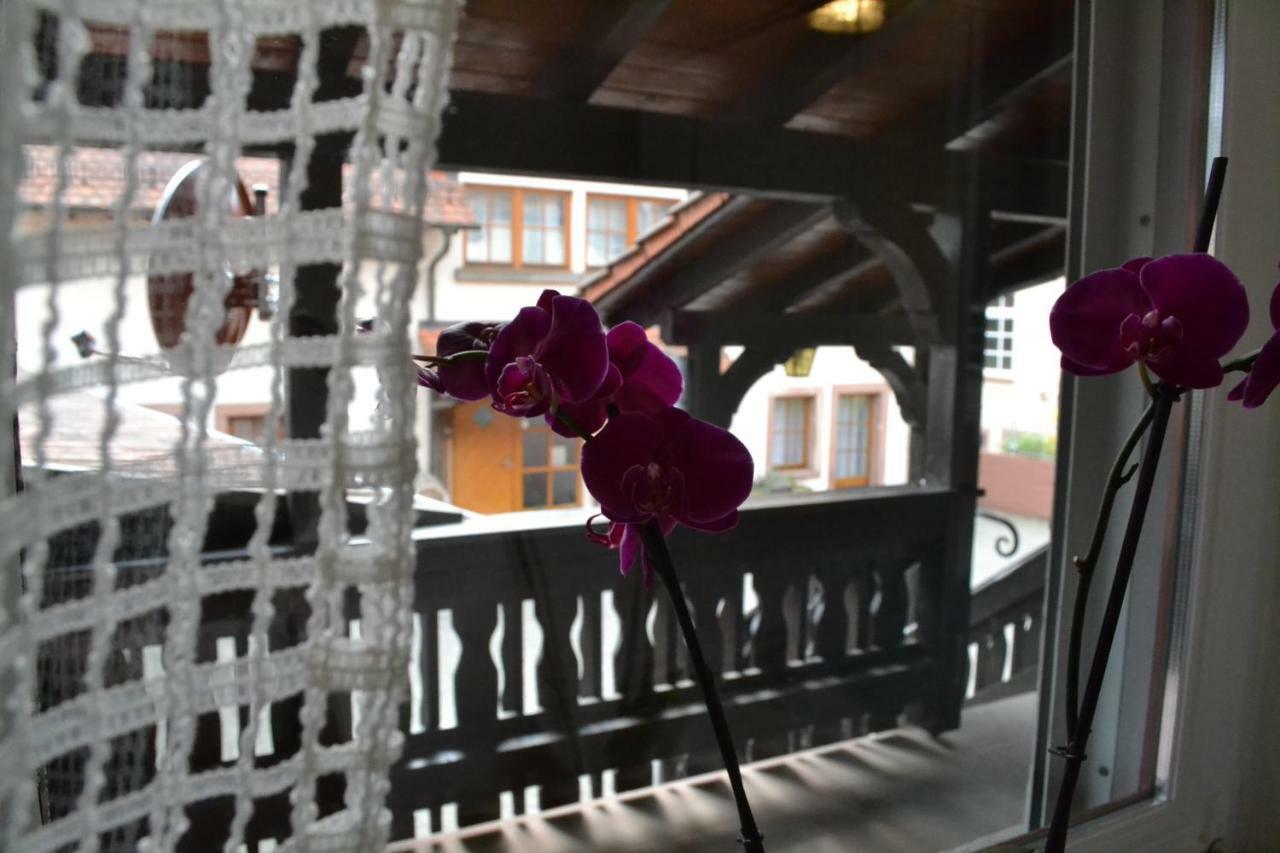 Pension - Gaestehaus Zum Pfaelzerwald Hinterweidenthal Kültér fotó